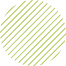 home store element 5 1